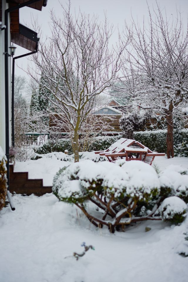 Działka rod Gdańsk Kokoszki, ul. Nowatorów. Zdjęcie 21