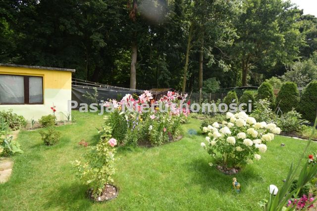 dom wolnostojący, 6 pokoi Staroźreby. Zdjęcie 4