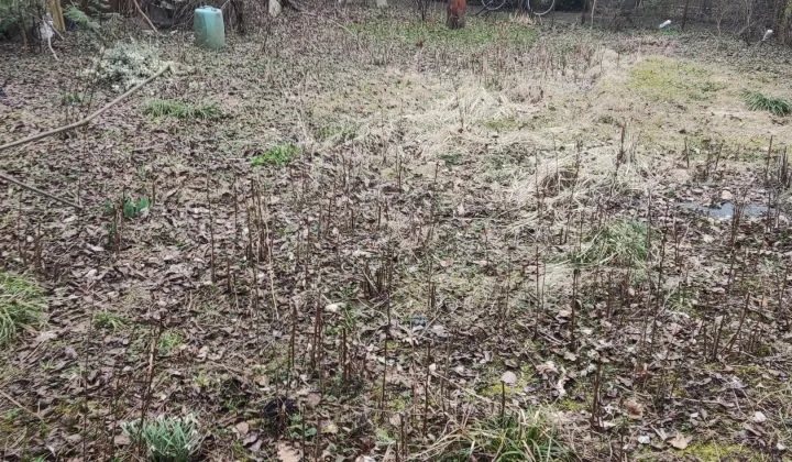 Działka rod Kraków Ludwinów, ul. Rozdroże