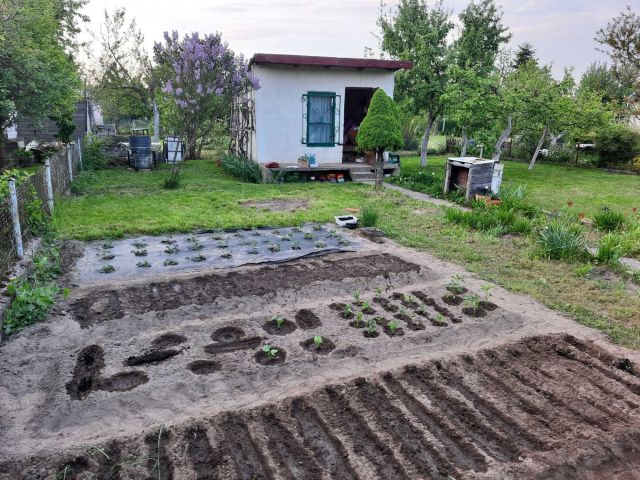 Działka rekreacyjna Osiek. Zdjęcie 1