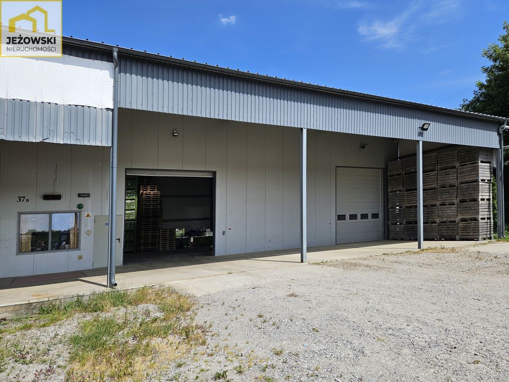 Hala/magazyn Wojciechów. Zdjęcie 12