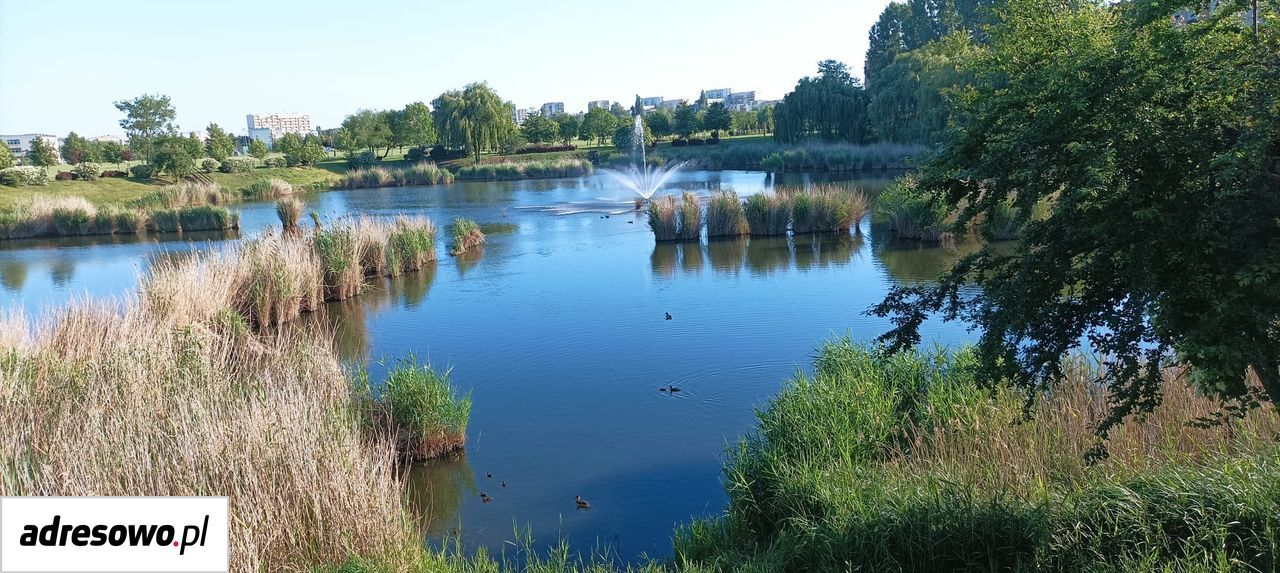 Mieszkanie 3-pokojowe Inowrocław Rąbin, al. Niepodległości. Zdjęcie 20