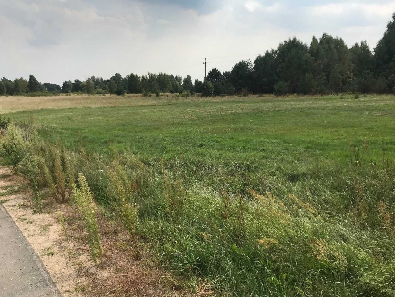 Działka rekreacyjna Sekłak. Zdjęcie 2