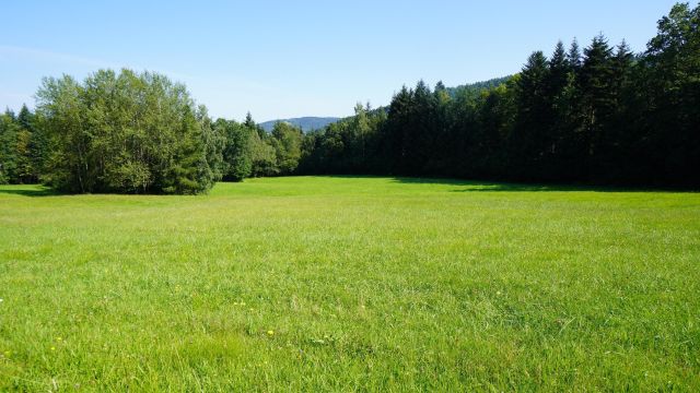 Działka rolno-budowlana Klimkówka. Zdjęcie 3