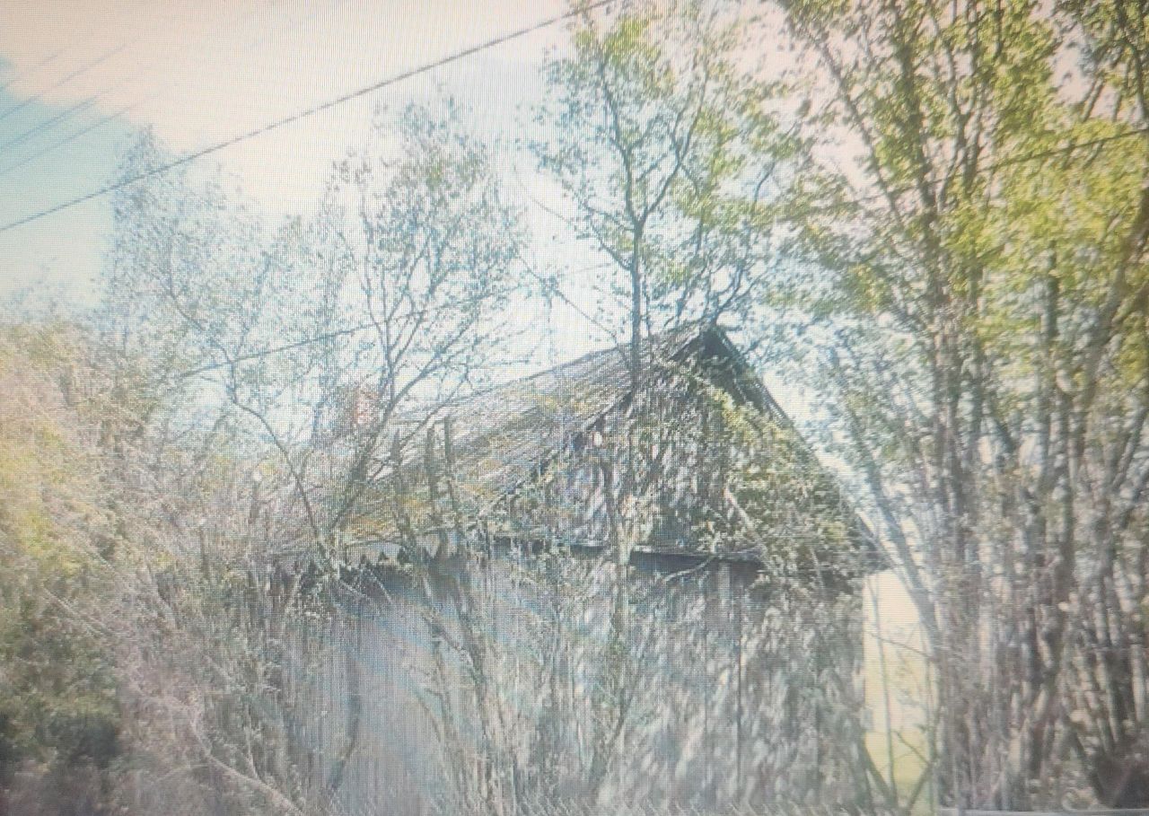 Działka rolno-budowlana Damiany. Zdjęcie 4