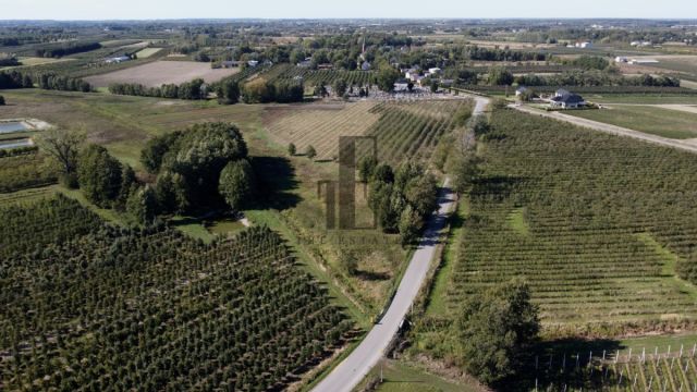 Działka rolna Boglewice. Zdjęcie 1