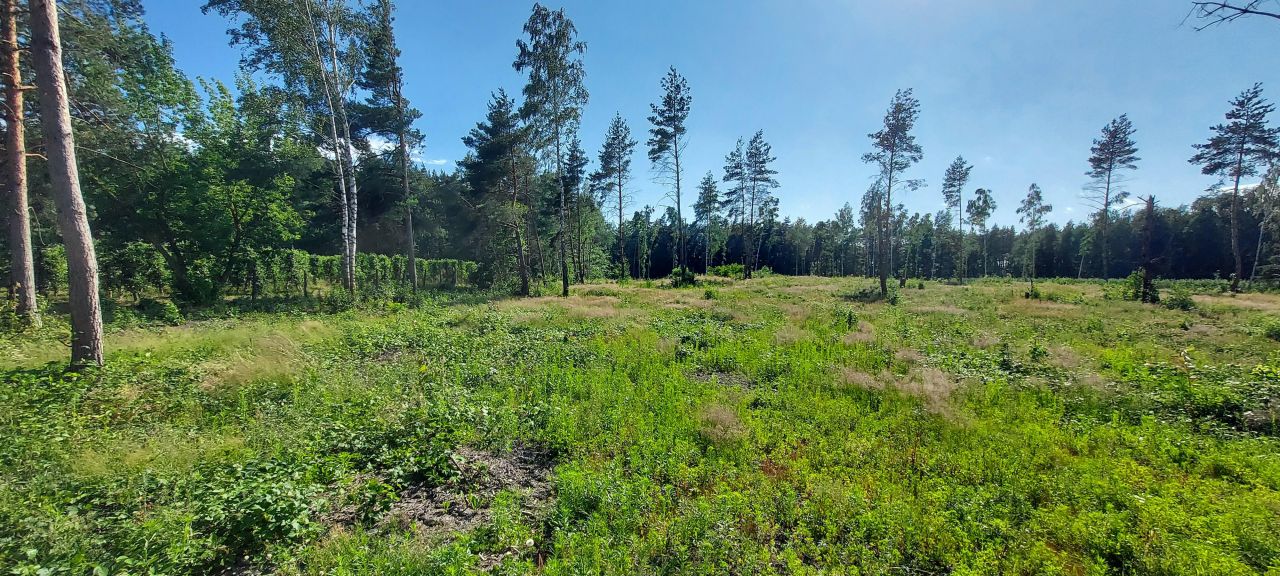 Działka rolna Lekarcice. Zdjęcie 4