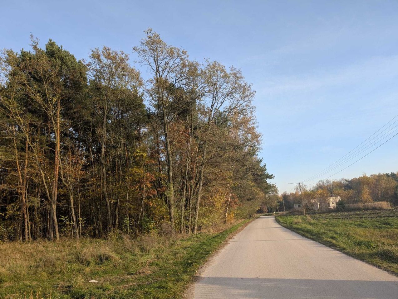 Działka budowlana Warzyn Drugi. Zdjęcie 8