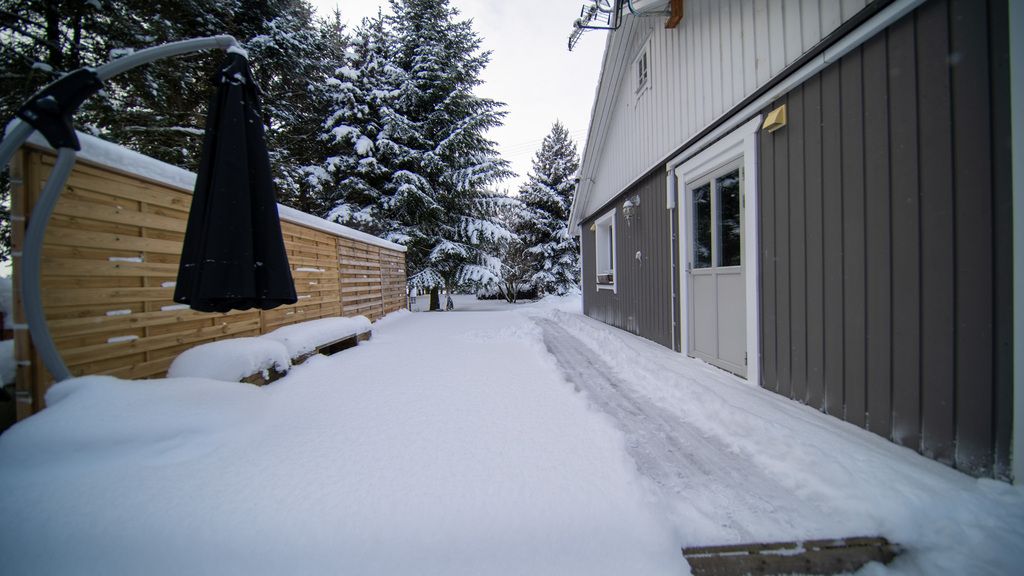 dom, 2 pokoje Sewerynów. Zdjęcie 34