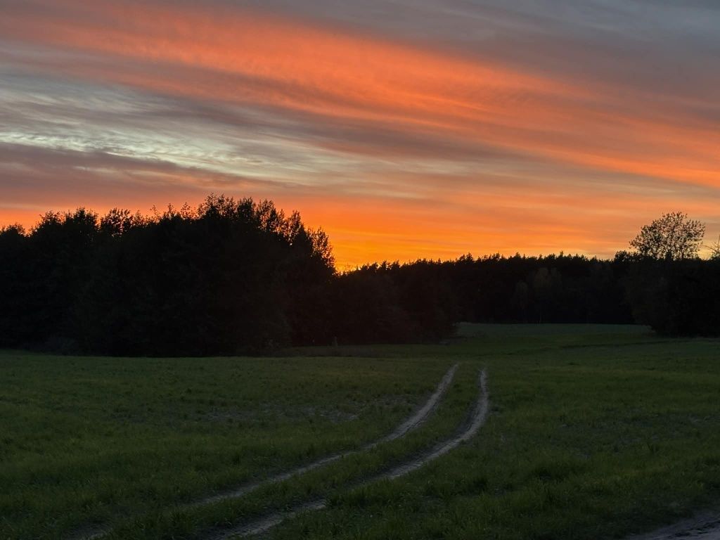 Działka rolno-budowlana Biechówko. Zdjęcie 6