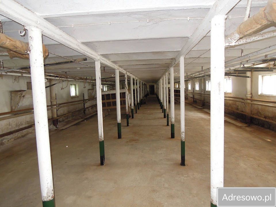 Hala/magazyn Roźwienica. Zdjęcie 3