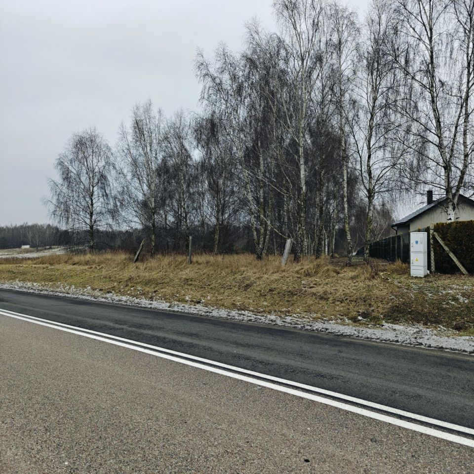 Działka rolno-budowlana Karsk. Zdjęcie 8