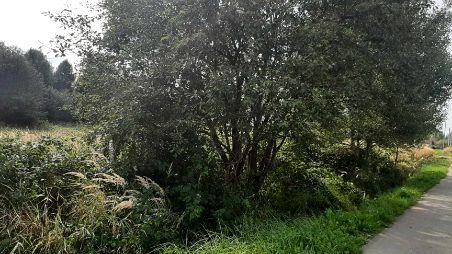 Działka rolno-budowlana Lekomin, ul. Widokowa. Zdjęcie 1