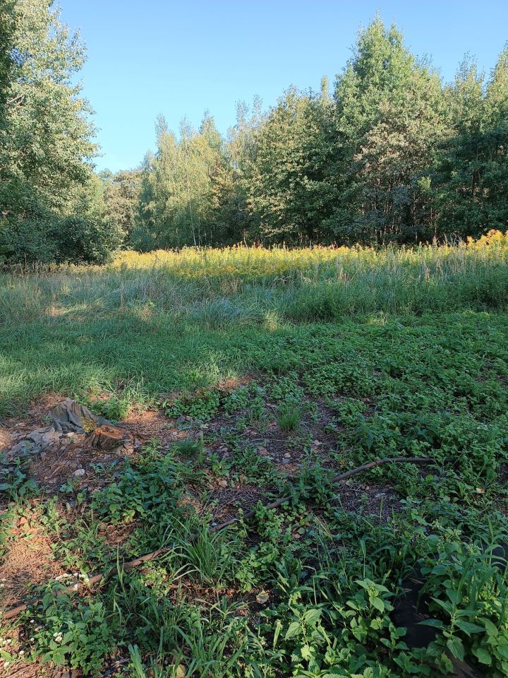 Działka budowlana Pęgów, ul. Południowa. Zdjęcie 4