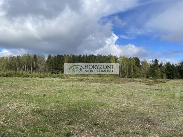 Działka budowlana Kamień. Zdjęcie 1