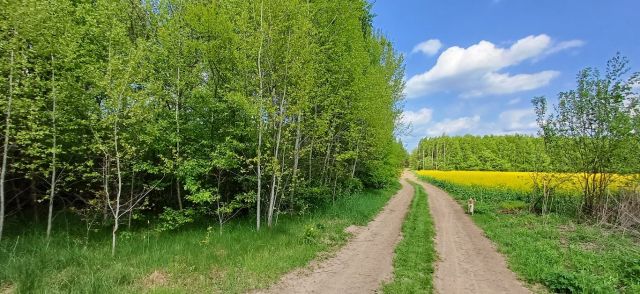 Działka rolna Skronina. Zdjęcie 1