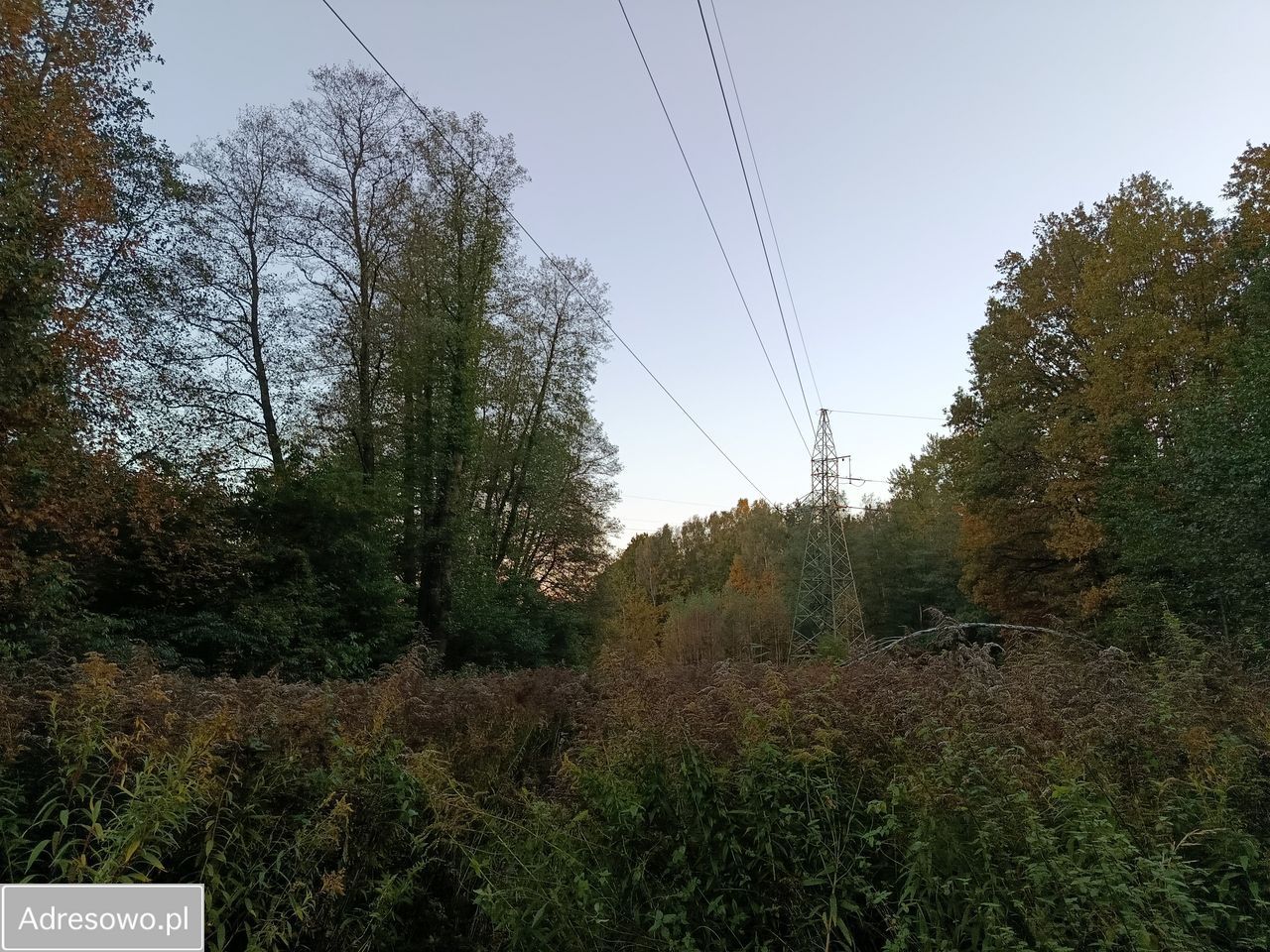 Działka inna Mysłowice Wesoła, ul. Zacisze. Zdjęcie 18