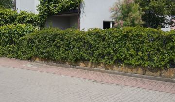 dom wolnostojący Siedlce, ul. Sokołowska