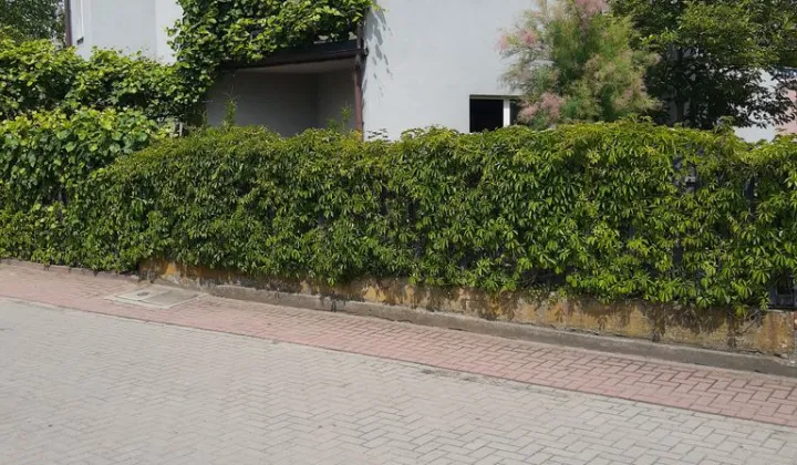 dom wolnostojący Siedlce, ul. Sokołowska