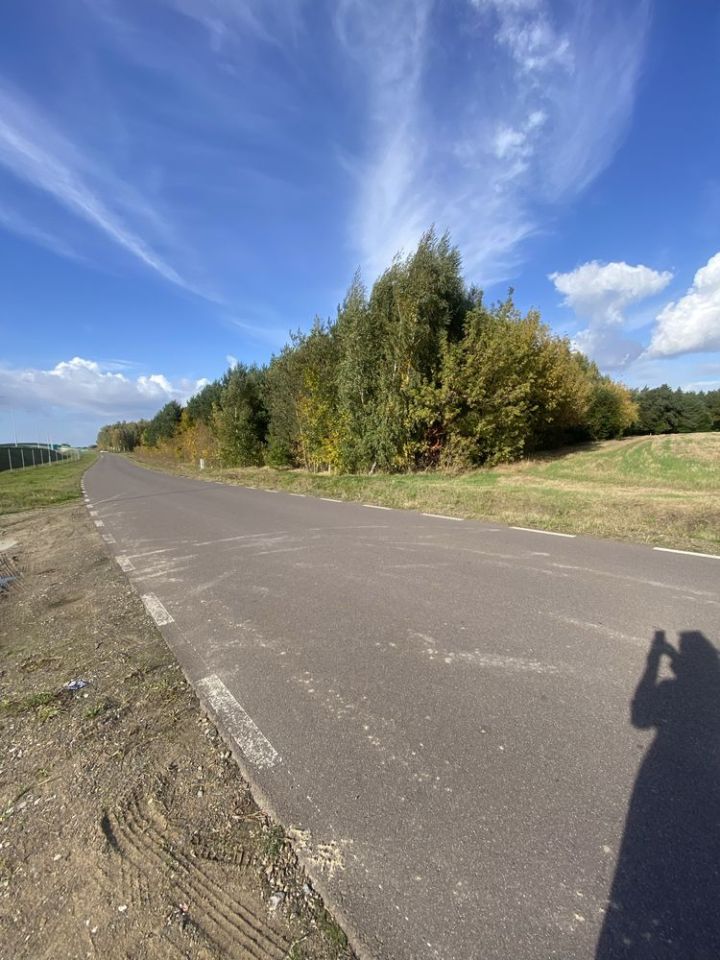 Działka leśna Polesie. Zdjęcie 3