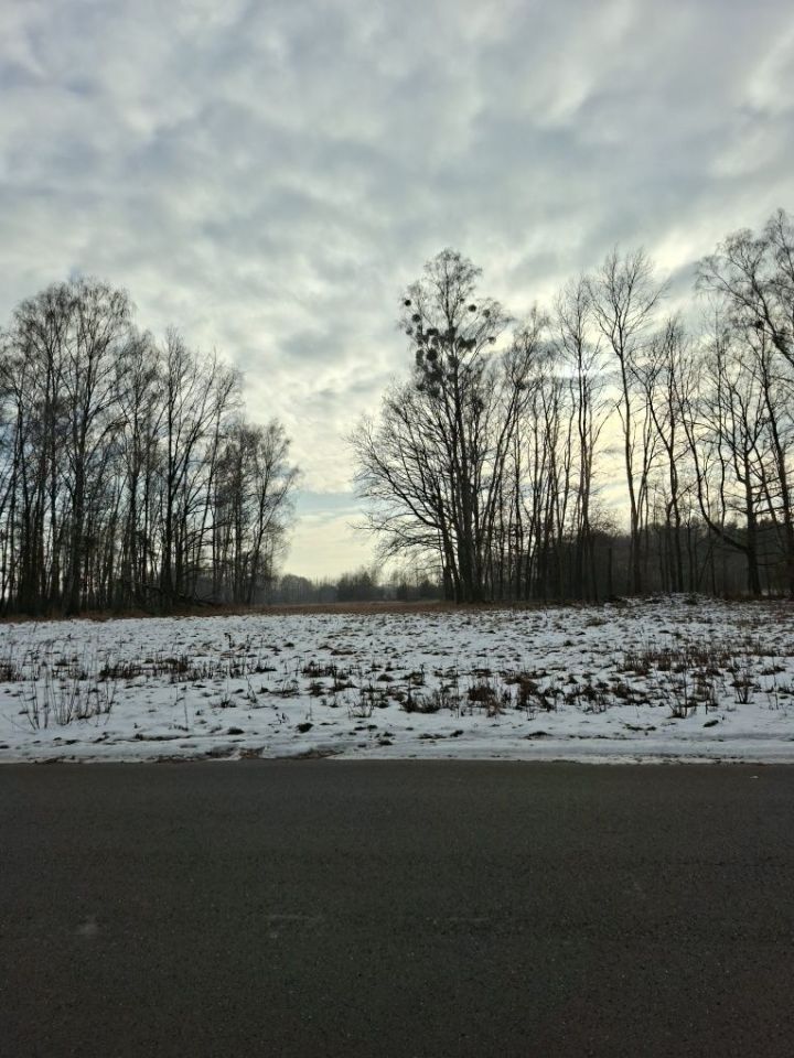 Działka budowlana Ożarowice, ul. Zawodą. Zdjęcie 4