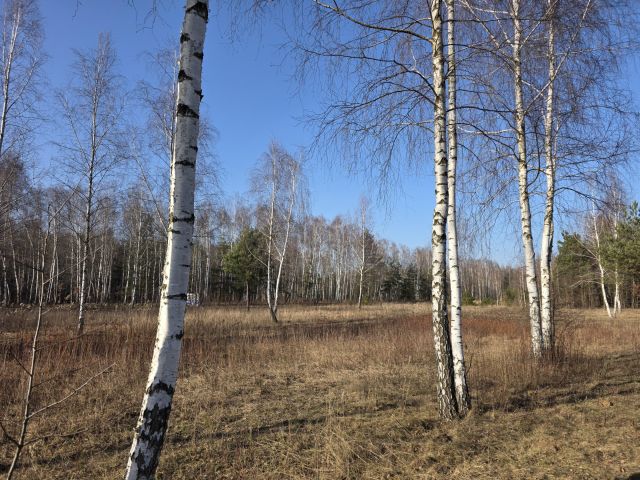 Działka rolno-budowlana Leontyna, Parkowa. Zdjęcie 3