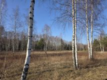 Działka rolno-budowlana Leontyna, ul. Parkowa. Zdjęcie 2