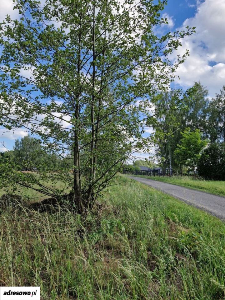 Działka budowlana Budy Zosine, ul. Żołnierzy Grupy Kampinos. Zdjęcie 7