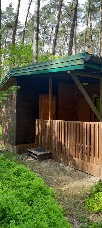 dom letniskowy, 3 pokoje Barcice Kępa Barcicka. Zdjęcie 3