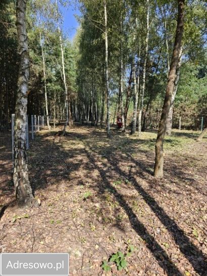 Działka budowlana Radłów. Zdjęcie 3