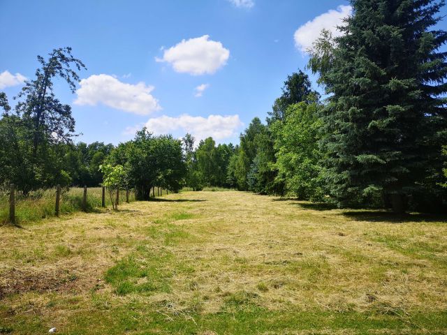 Działka budowlana Zaborze. Zdjęcie 1