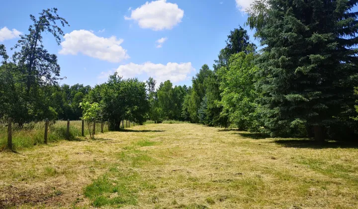 Działka budowlana Zaborze