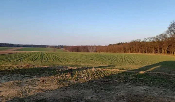 Działka budowlana Kamień