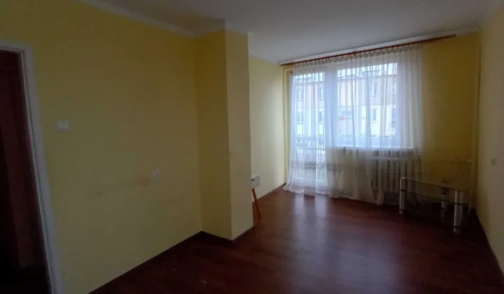 Mieszkanie 1-pokojowe Nasiegniewo