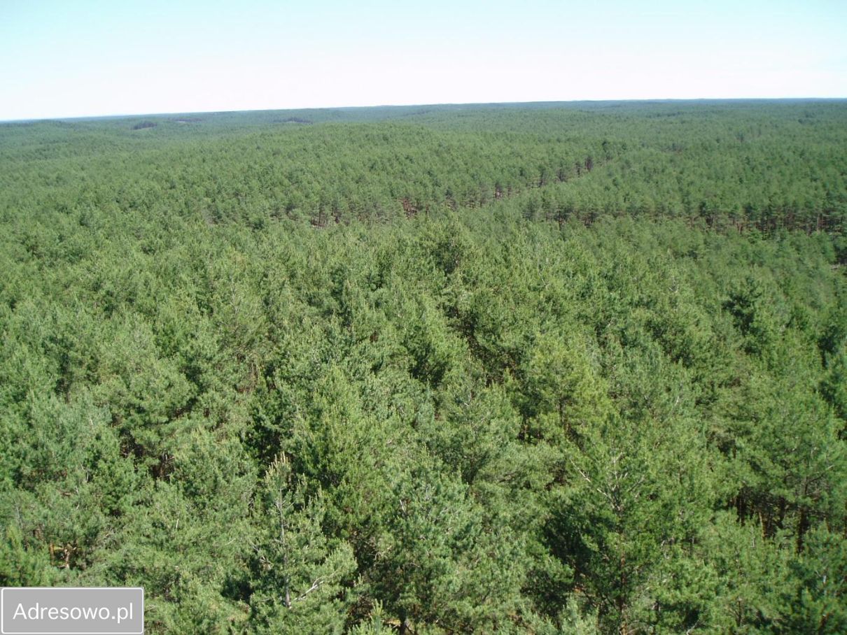 Działka Grotów. Zdjęcie 5