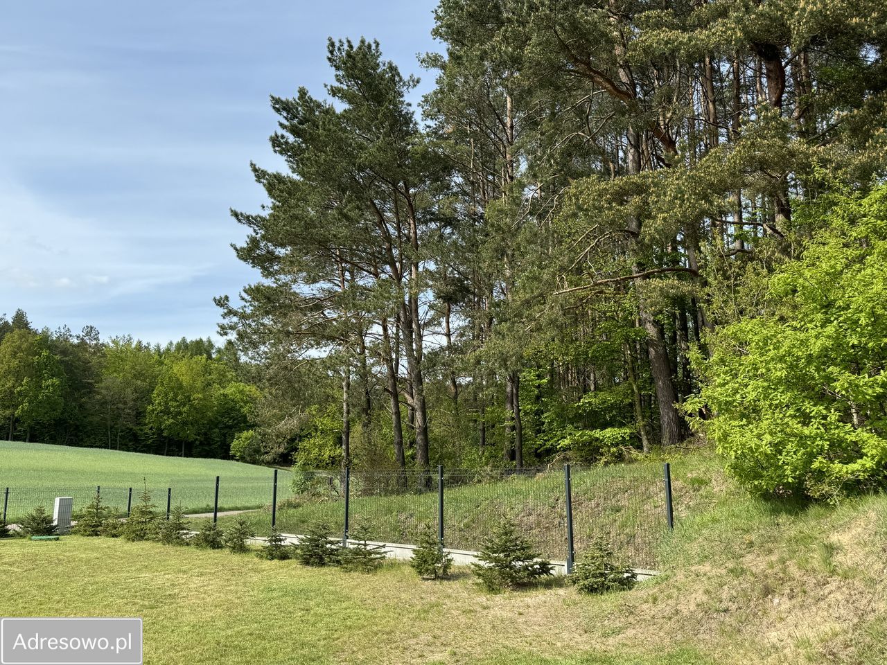 dom wolnostojący, 4 pokoje Chmielno. Zdjęcie 4