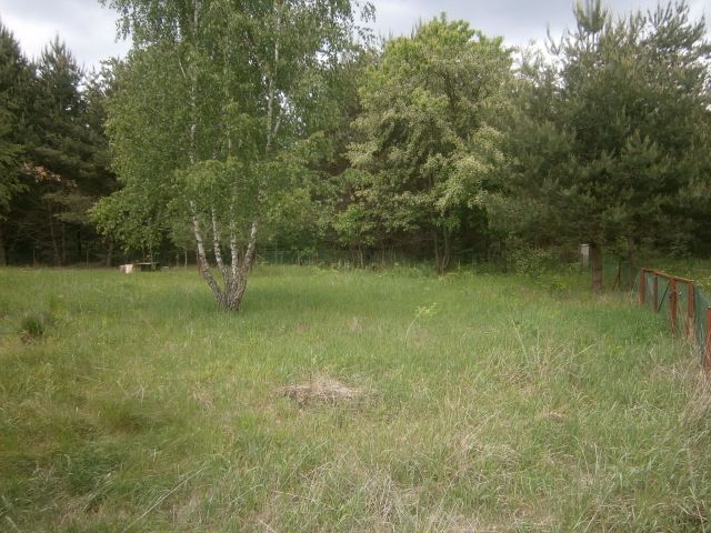 Działka rekreacyjna Śmiardowo Złotowskie. Zdjęcie 1