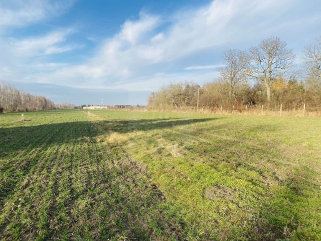 Działka budowlana Dębówka. Zdjęcie 4