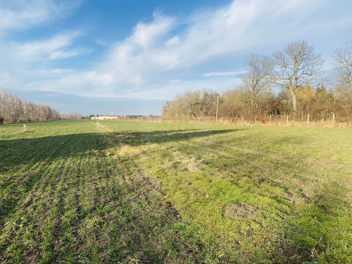 Działka budowlana Dębówka. Zdjęcie 4