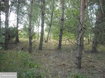 Działka budowlana Stare Koziminy. Zdjęcie 3