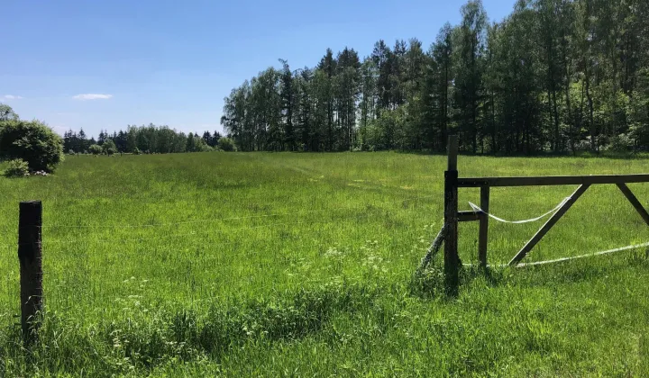 Działka rolno-budowlana Szczecin Płonia, ul. Trzcinowa