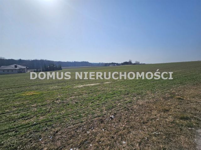 Działka Tworzyjanki. Zdjęcie 3