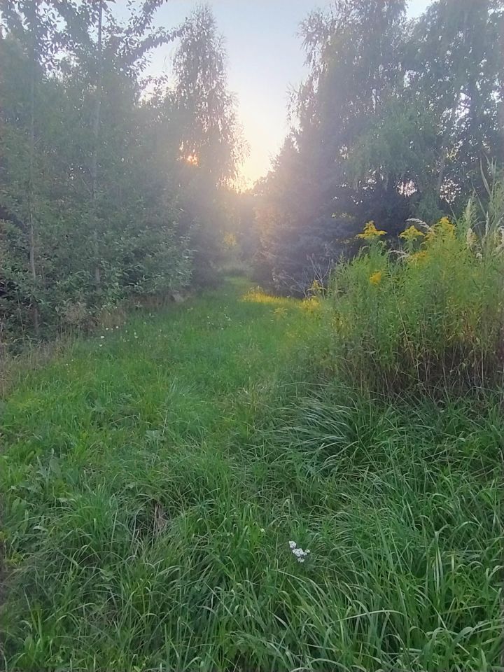 Działka budowlana Stopnica, ul. Polna. Zdjęcie 3