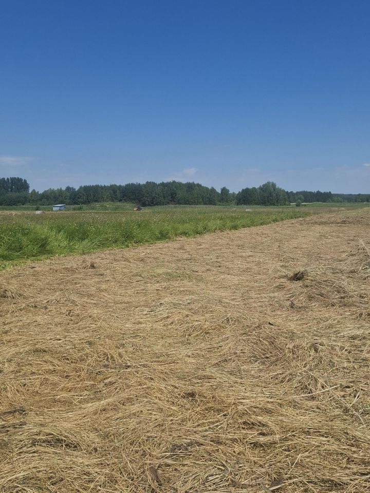 Działka rolna Piasek Wielki, Piasek. Zdjęcie 6