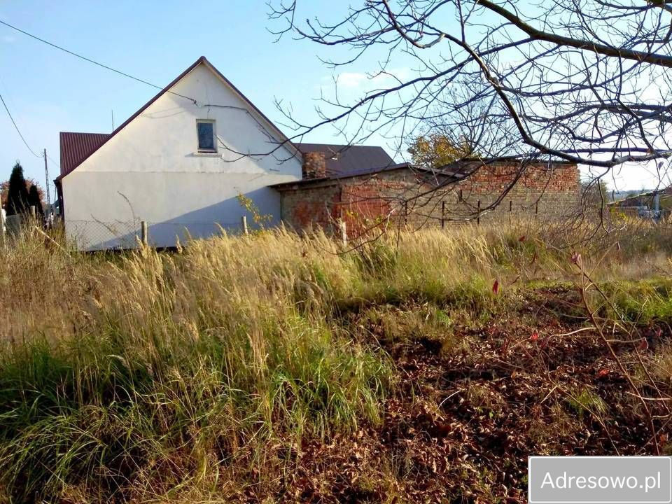 Działka siedliskowa Boleszkowice. Zdjęcie 5