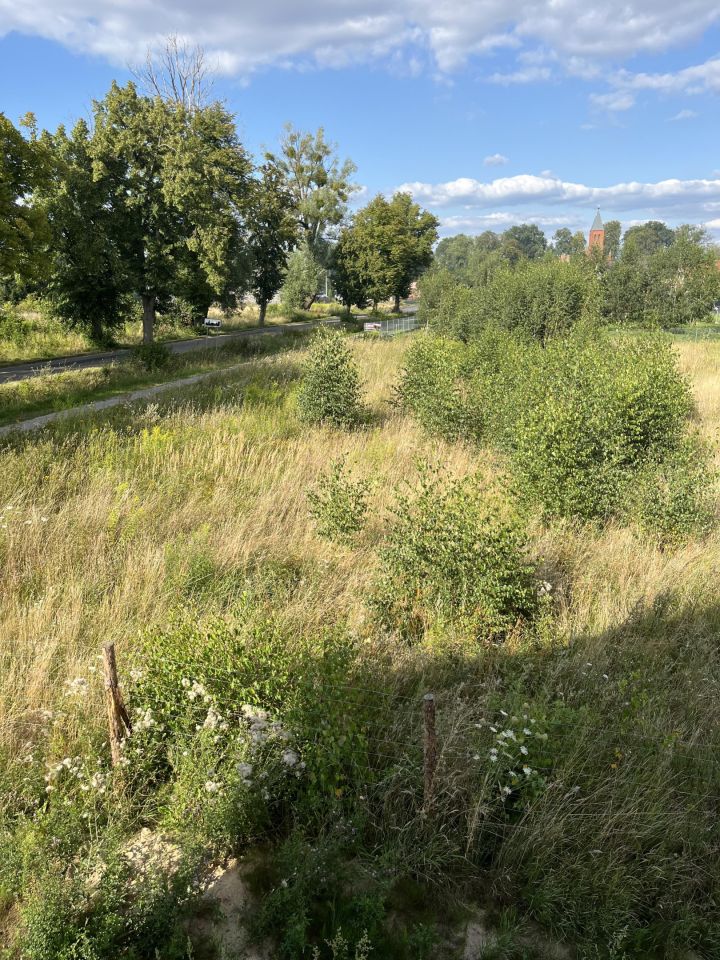 Działka budowlana Pokrzywnica. Zdjęcie 6