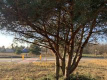 Działka budowlana Prądocin, ul. Ogrodowa. Zdjęcie 3