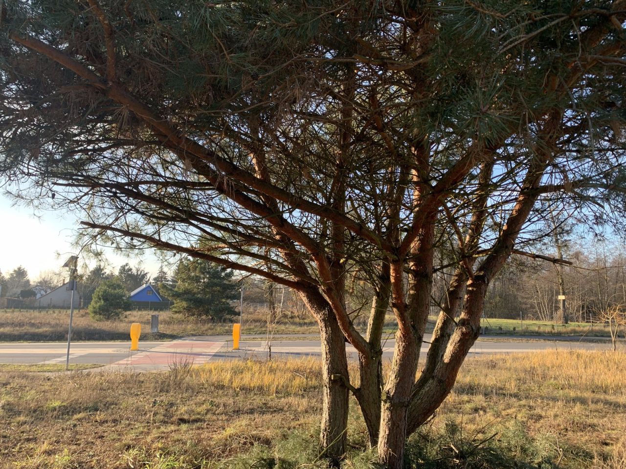 Działka budowlana Prądocin, ul. Ogrodowa. Zdjęcie 4