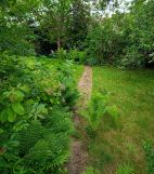 Działka rod Warszawa Elsnerów, ul. Janowiecka