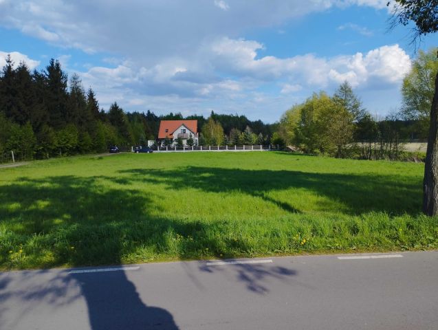 Działka inwestycyjna Barcice. Zdjęcie 1